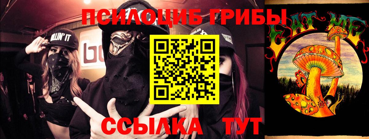 Щёлково  Псилоцибиновые грибы Psilocybine cubensis  Вход с VPN 